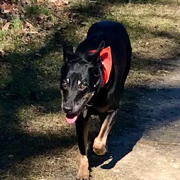 Meet your Posher, Shelly - Picture 1 of 1